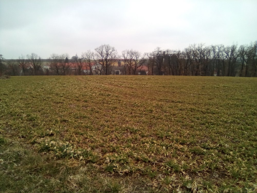 Obrázek #17 z 18
