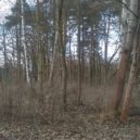 Klánovický les - UTrativodu_Klánovický-les-2018_1