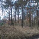 Klánovický les - UTrativodu_Klánovický-les-2018_4