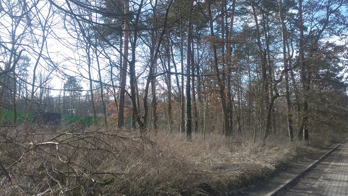 Obrázek #3 z 5
