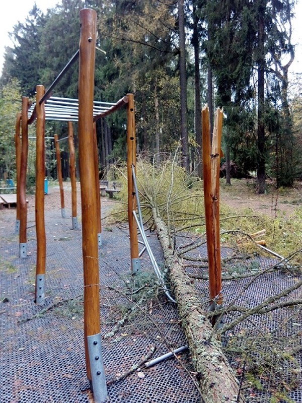 Obrázek #5 z 6