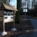 Bohnický hřbitov bláznů, hrad Houska a Branišovský les - Branišovský les Bor – nejstrašidelnější les v Česku
