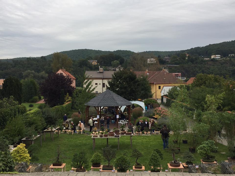 Obrázek #2 z 5