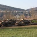 Louka ve Všenorech - všenorská louka 221 – foto Michaela Formánková