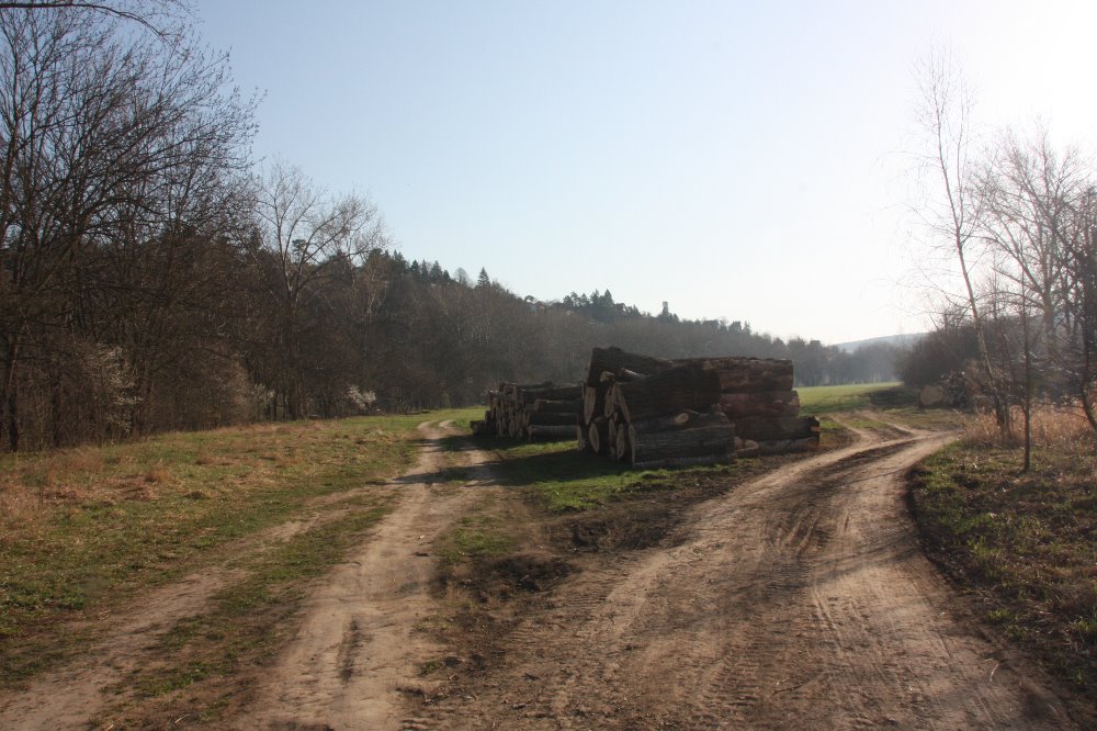 Obrázek #5 z 14