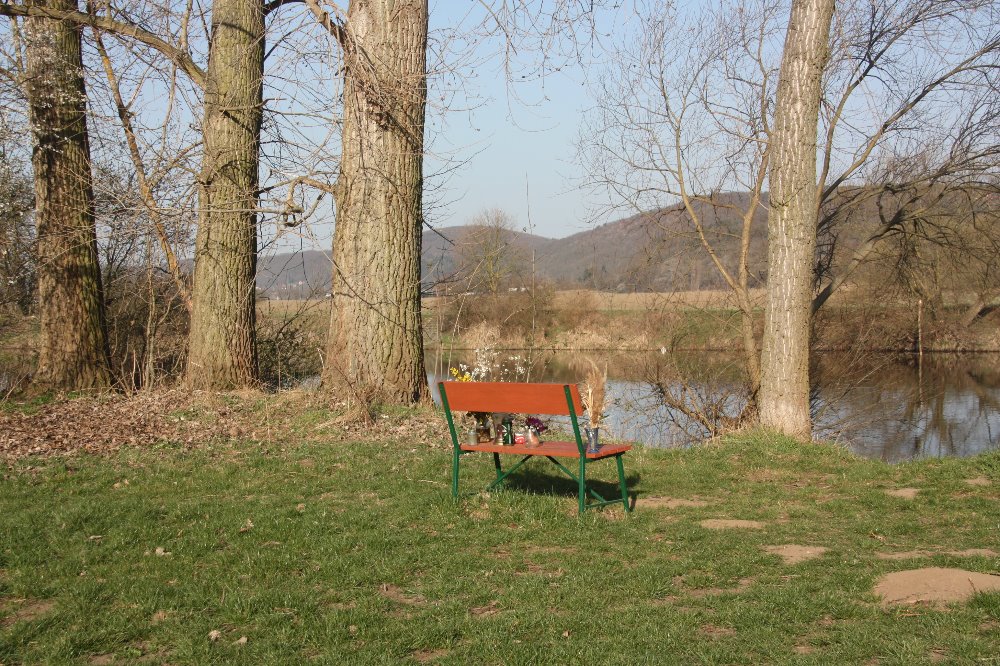 Obrázek #7 z 14