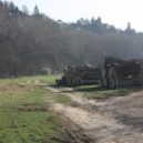 Louka ve Všenorech - všenorská louka 226 – foto Michaela Formánková