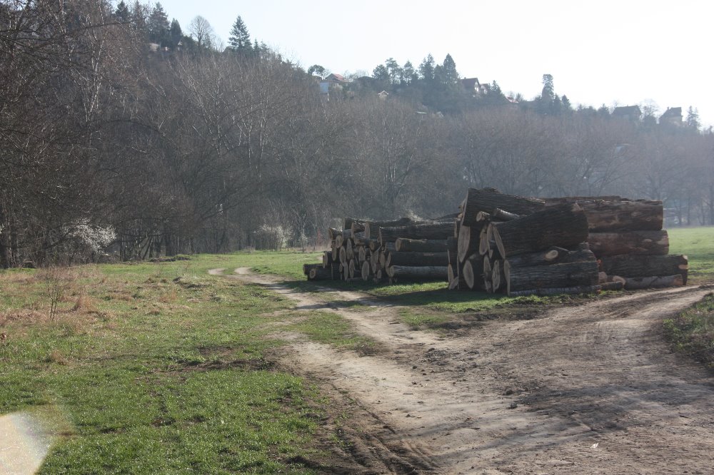 Obrázek #8 z 14