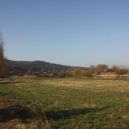 Louka ve Všenorech - všenorská louka 230 – foto Michaela Formánková