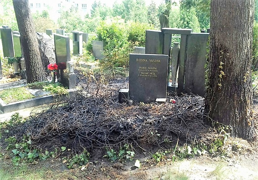 Obrázek #2 z 3