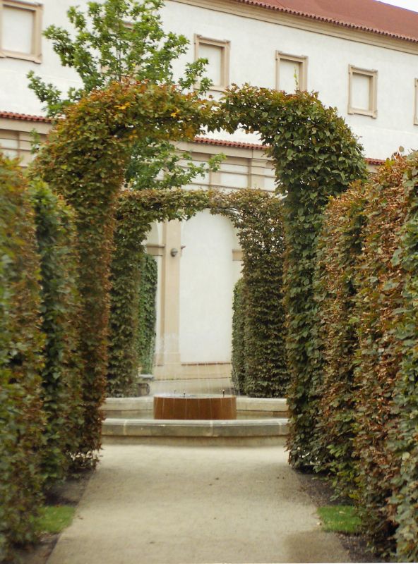 Obrázek #29 z 29