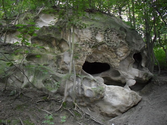 Obrázek #7 z 7