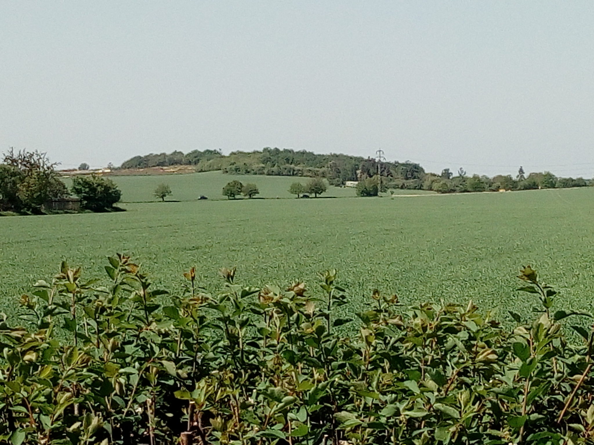 Obrázek #10 z 19
