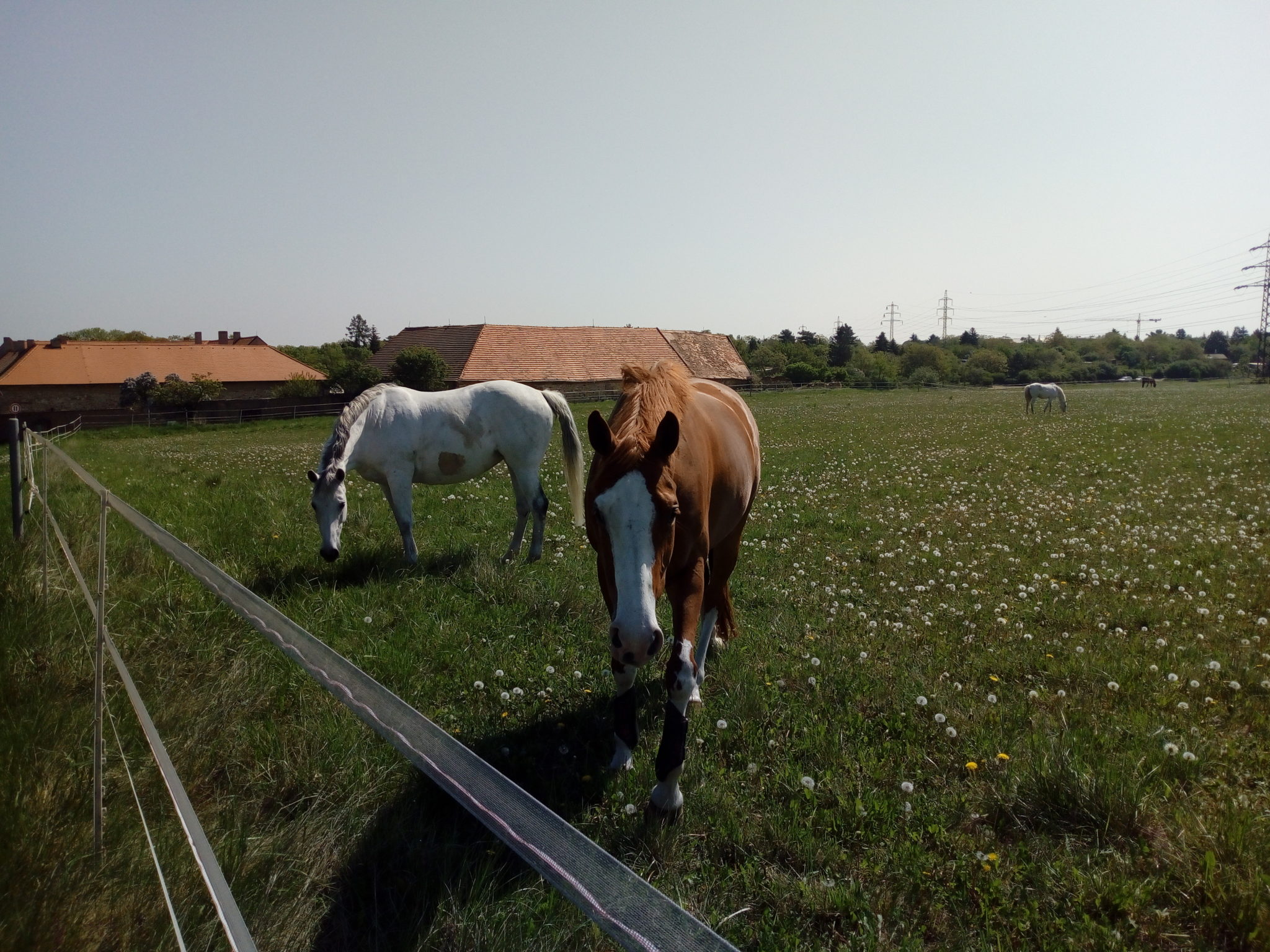 Obrázek #19 z 19