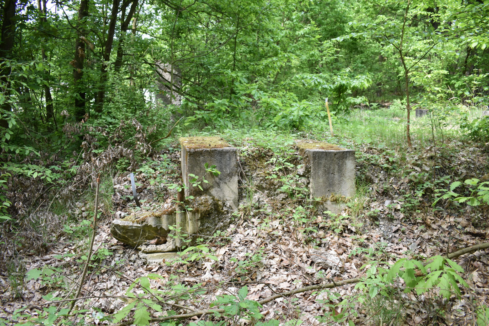 Obrázek #19 z 20