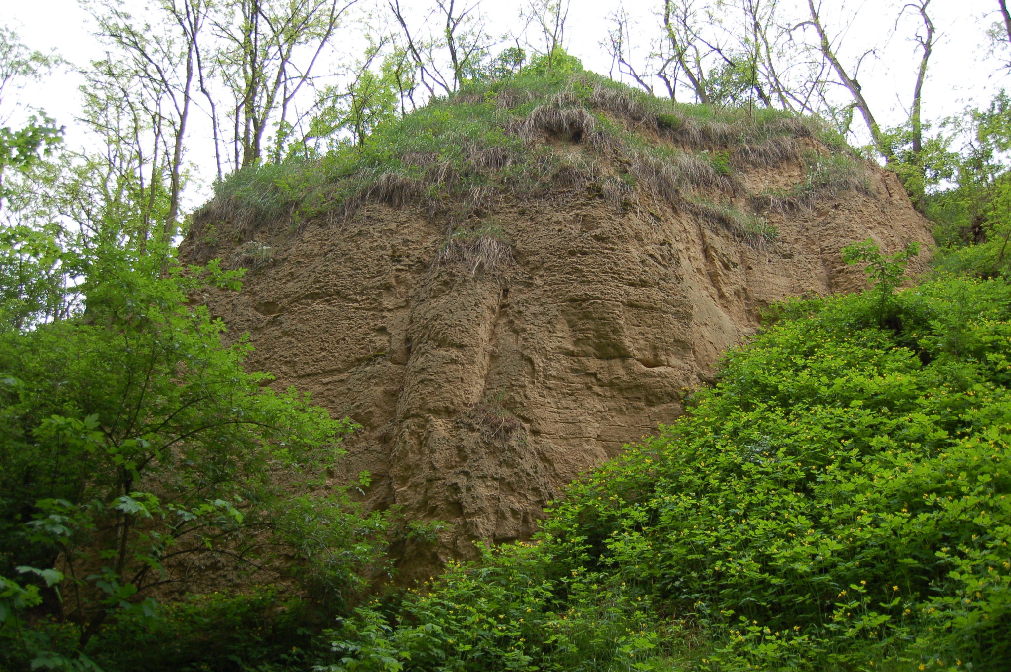 Obrázek #10 z 14