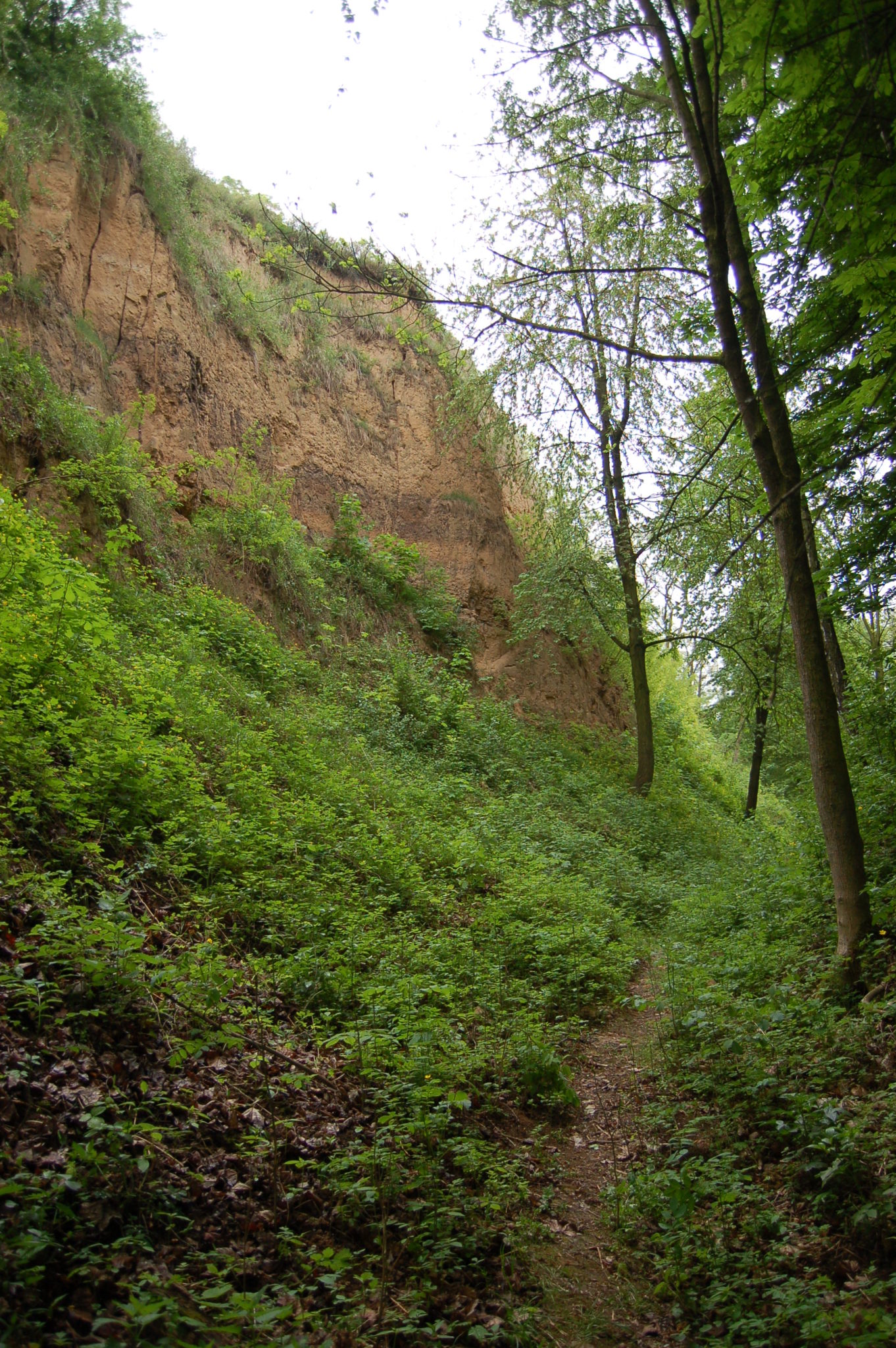 Obrázek #8 z 14