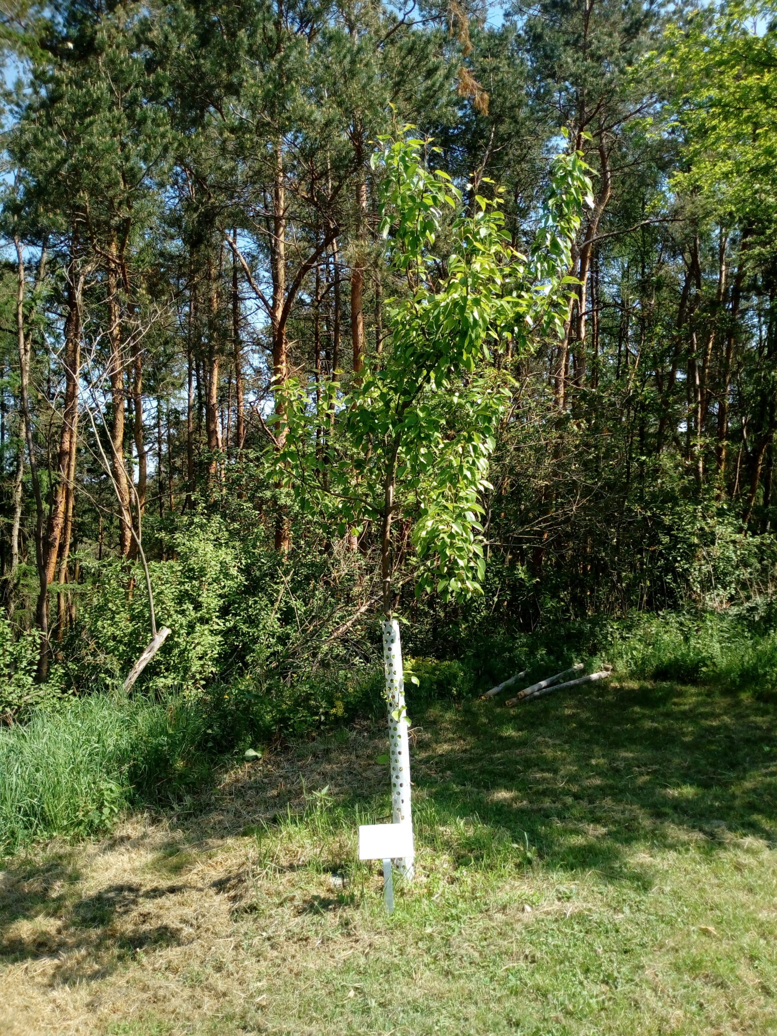 Obrázek #4 z 19