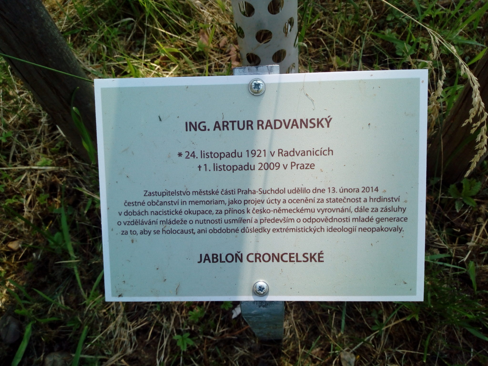Obrázek #5 z 19