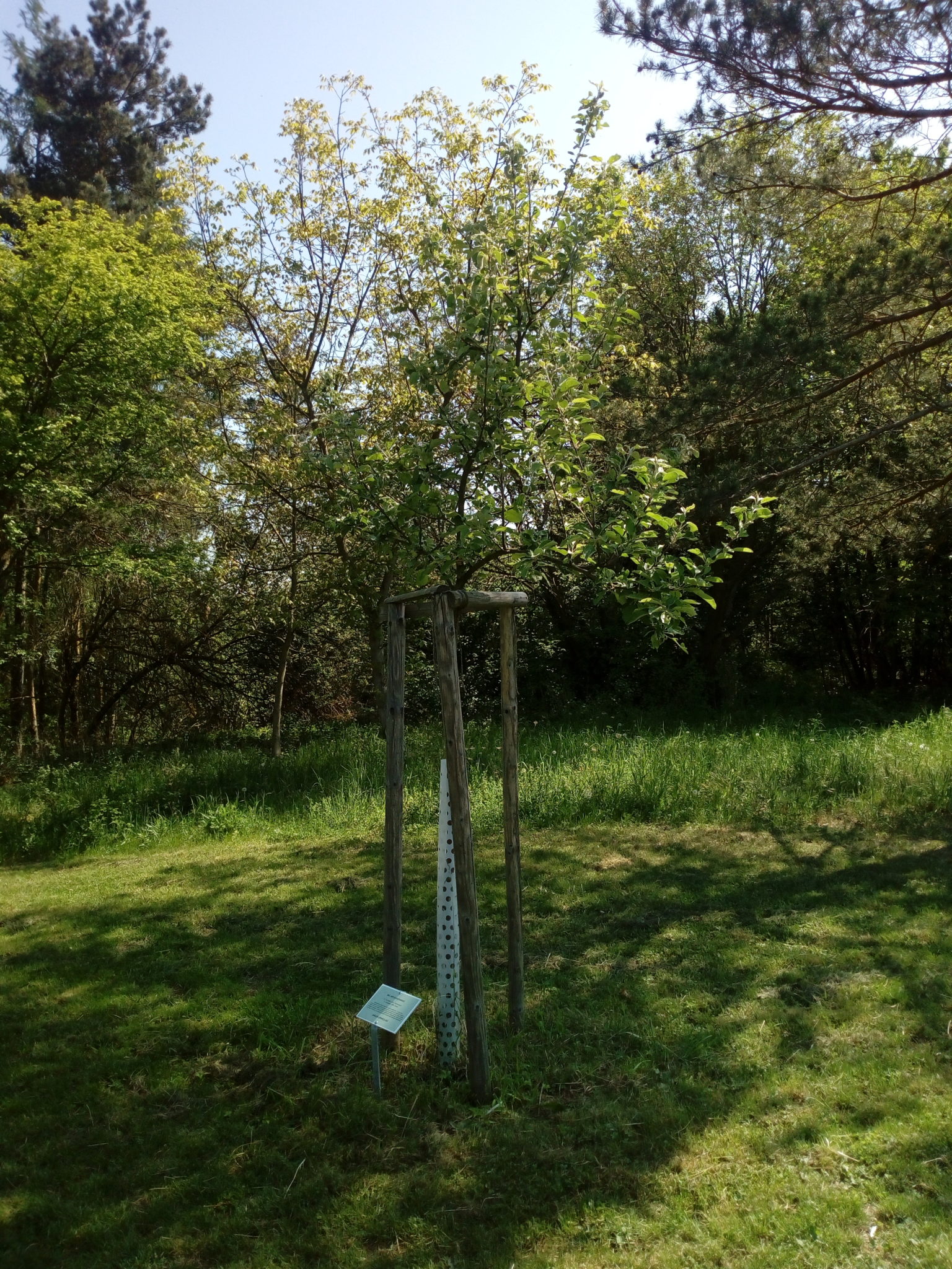 Obrázek #6 z 19