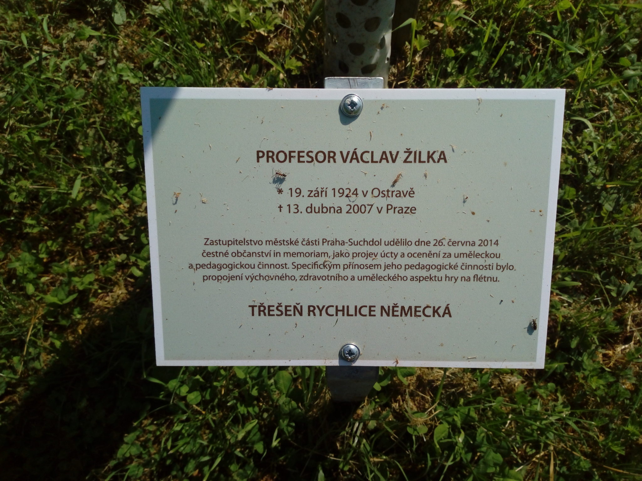 Obrázek #7 z 19