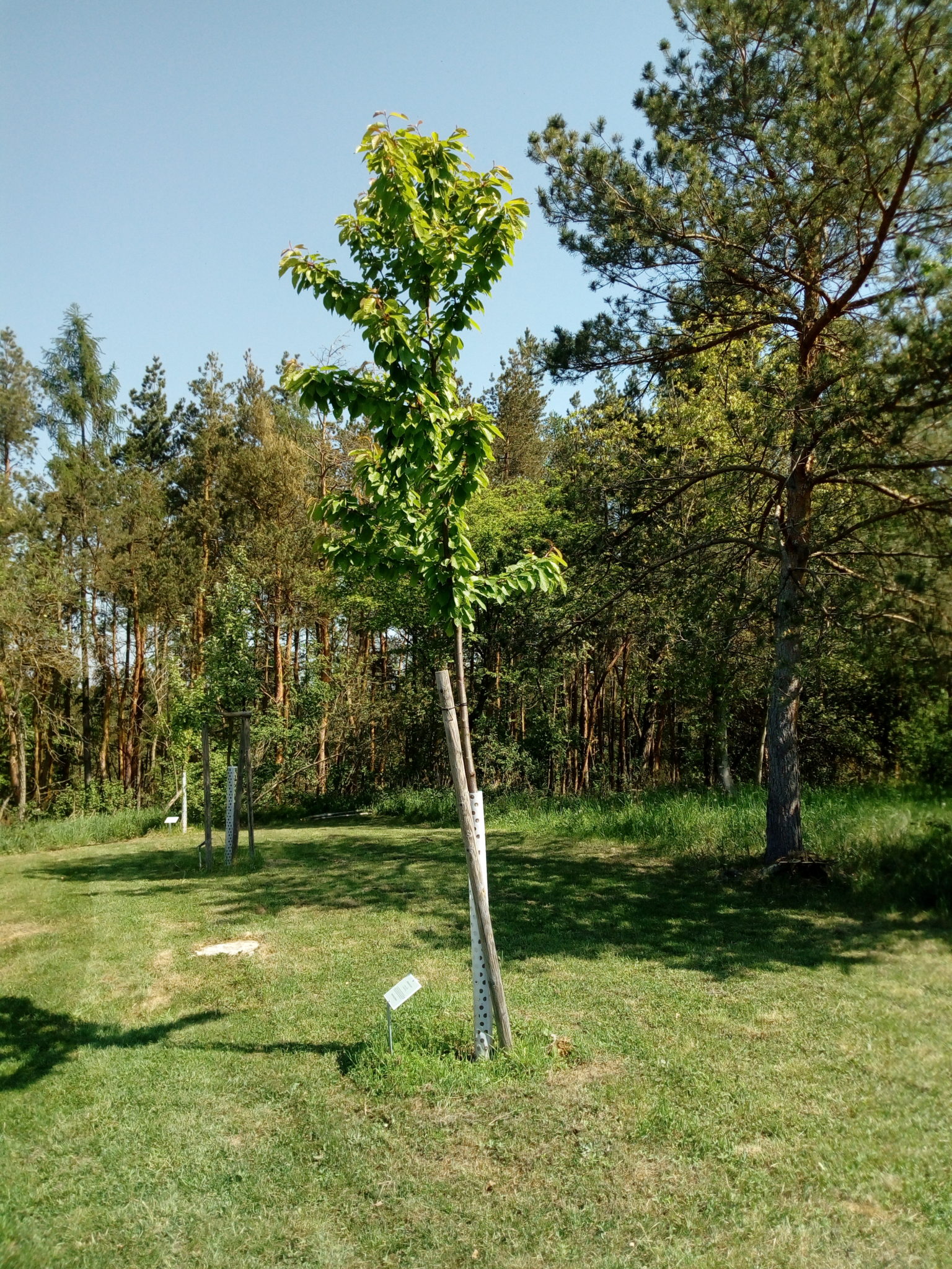 Obrázek #10 z 19