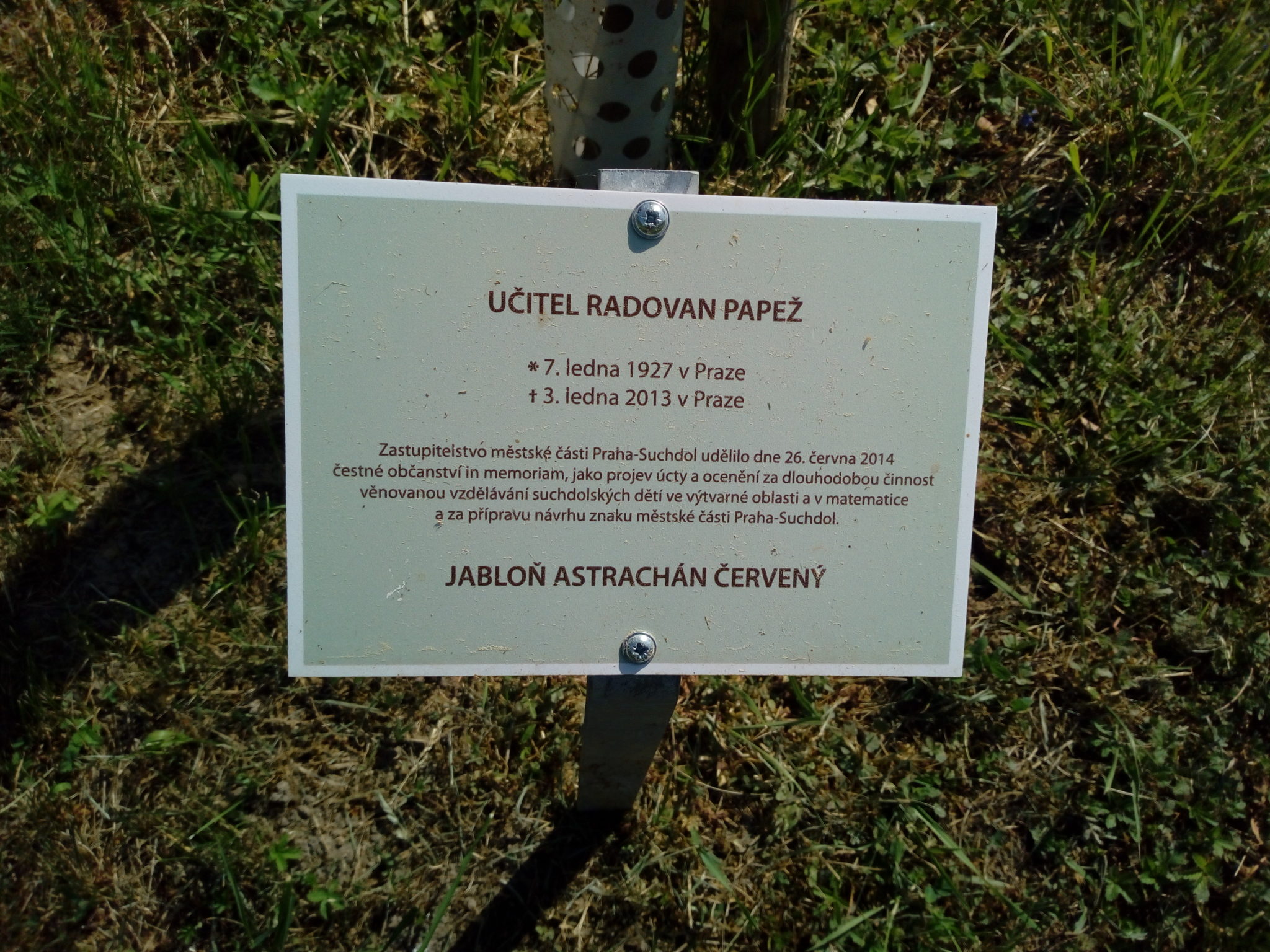 Obrázek #11 z 19