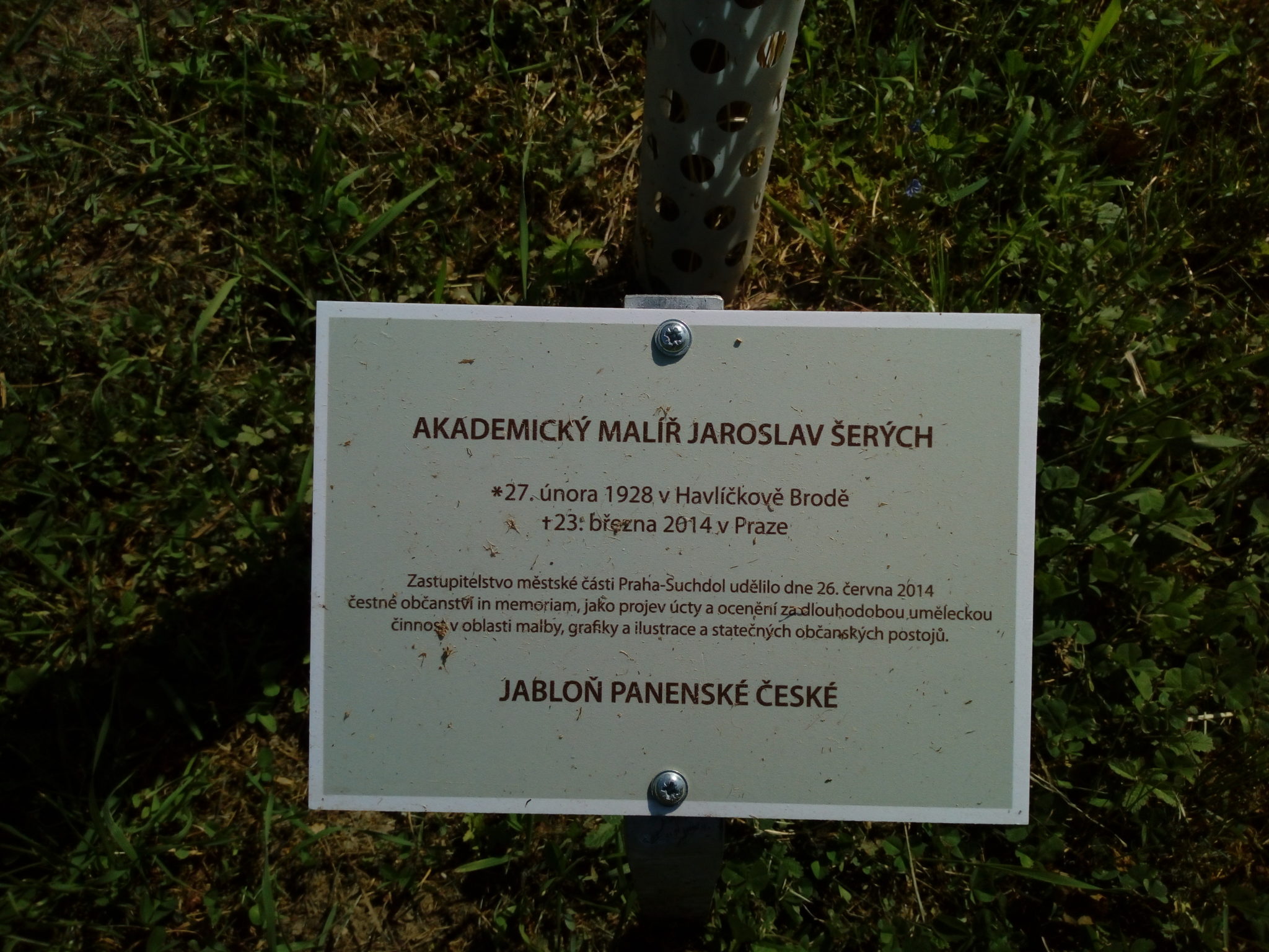 Obrázek #13 z 19