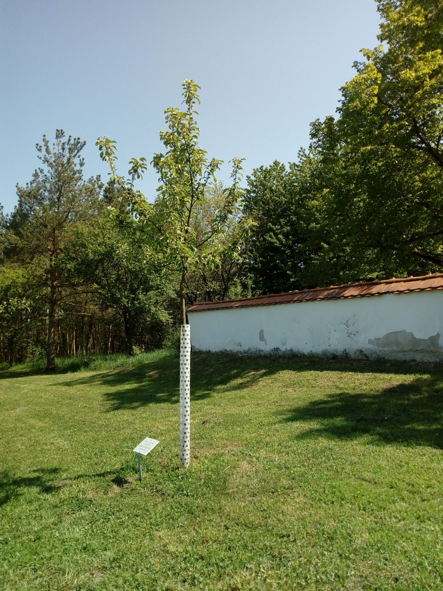 Obrázek #14 z 19