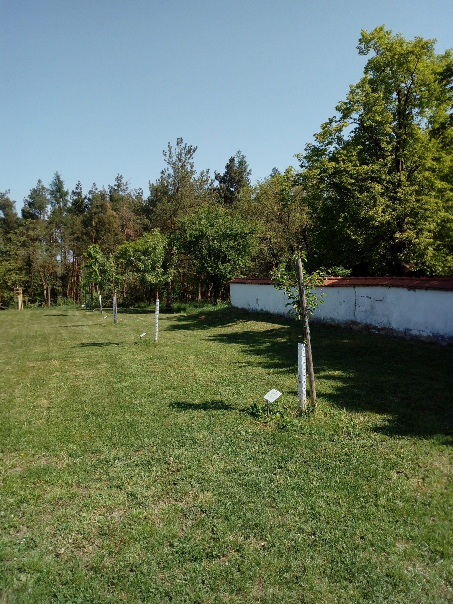 Obrázek #2 z 19