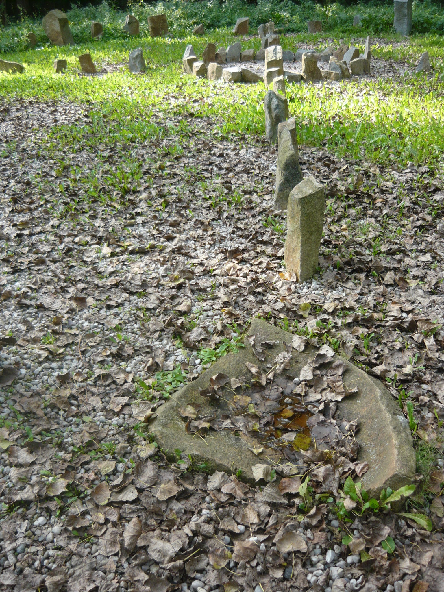 Obrázek #22 z 22