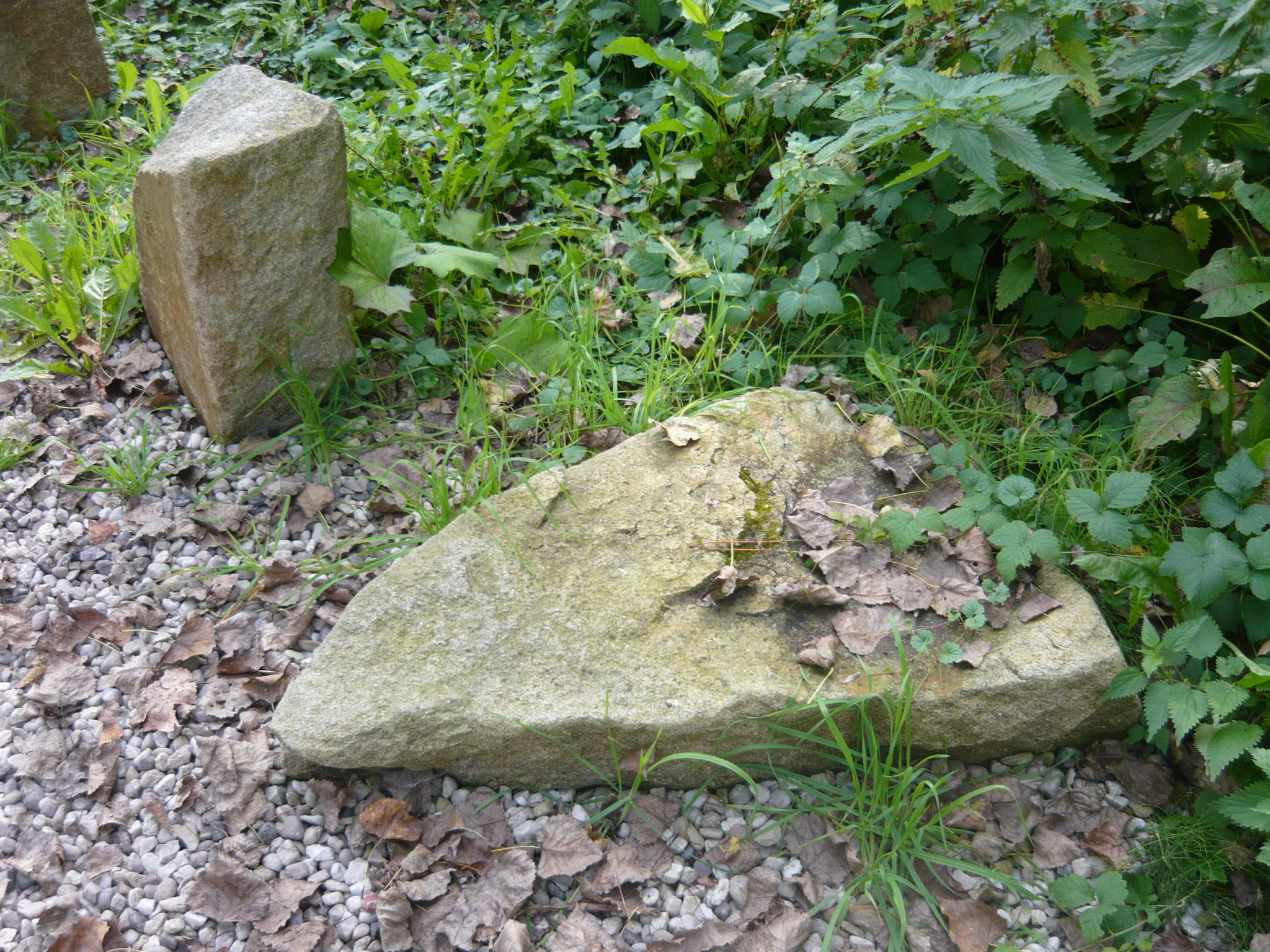 Obrázek #20 z 22