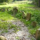 Šamanský kruh na Okoři - Šamanský kruh, Okor