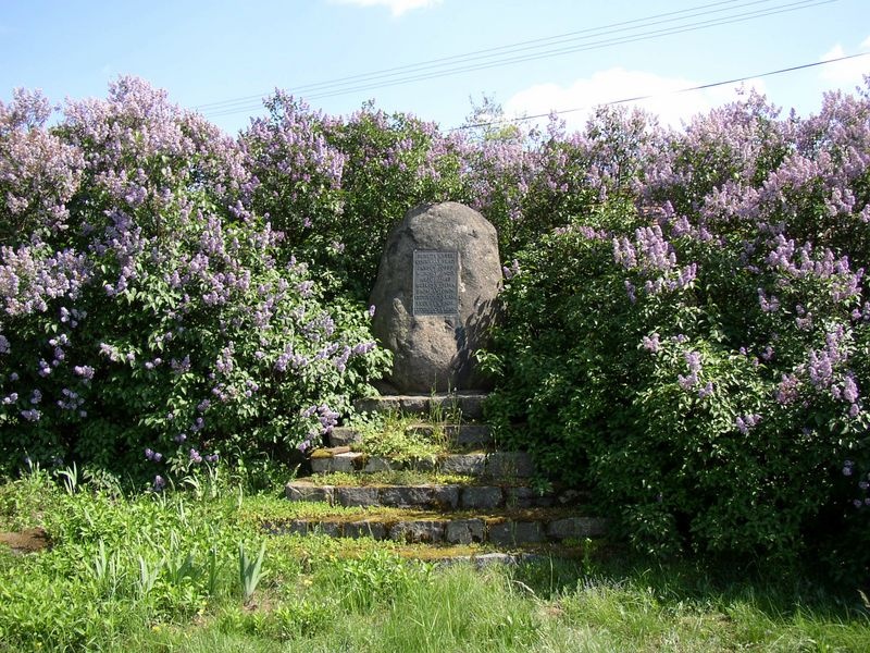 Obrázek #3 z 5