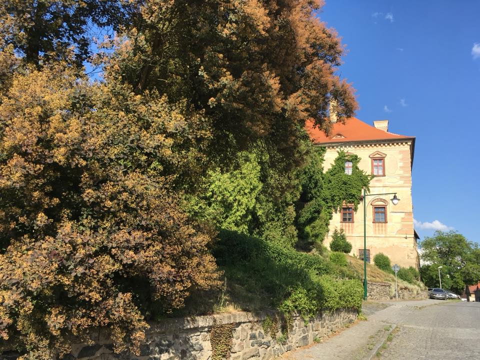 Obrázek #7 z 21