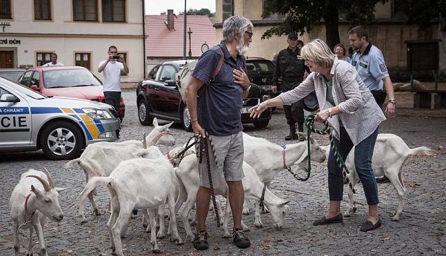 Obrázek #5 z 8