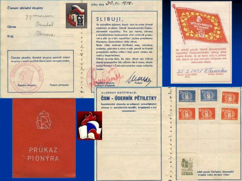 Obrázek #9 z 14