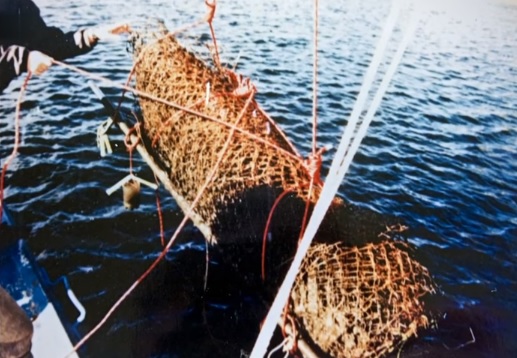 Obrázek #4 z 13