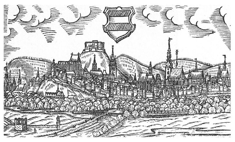 Obrázek #7 z 7
