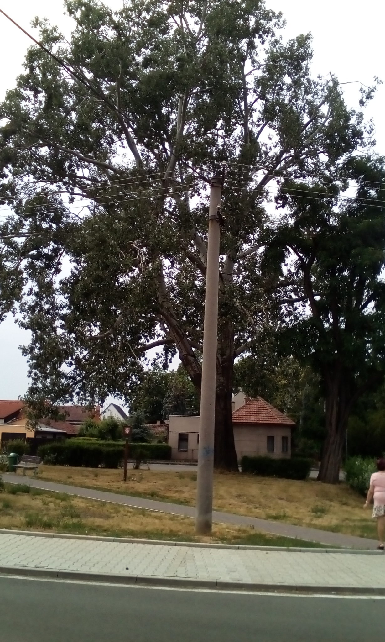 Obrázek #3 z 5