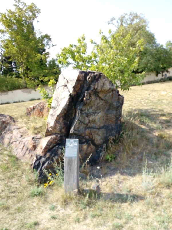 Obrázek #11 z 21