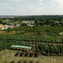 Vinice sv. Kláry - All-focus