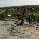 Vinice sv. Kláry - All-focus
