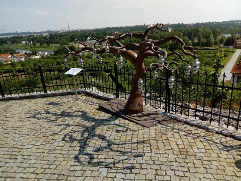 Obrázek #13 z 21
