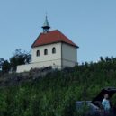 Vinice sv. Kláry - All-focus