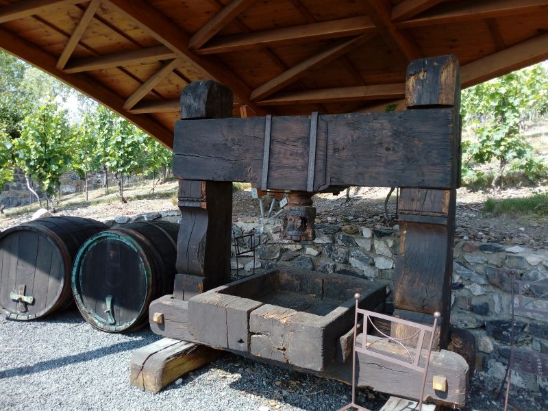 Obrázek #5 z 21