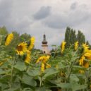 bitva na Turském poli - bitva na Turském poli 5