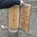 Království lesa Lipno - království_10