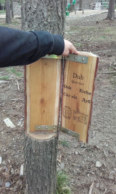 Obrázek #10 z 14