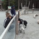 Království lesa Lipno - království_9